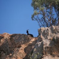 Photo de France - La randonnée du lac des Olivettes